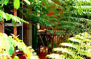 Mission Beach Rainforest Motel - Accommodation BNB 3