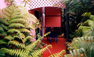 Mission Beach Rainforest Motel - Accommodation BNB 4