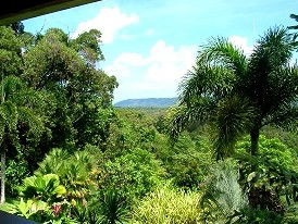 Daintree Manor - Accommodation BNB 3