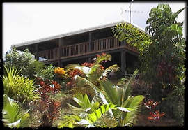 Daintree Manor - Accommodation BNB 5