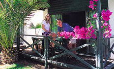 Desert Palms Resort - Accommodation BNB 3
