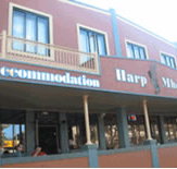 Harp Deluxe Hotel - Accommodation BNB