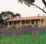 Windmill Cottage - Accommodation BNB