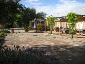 Peechabella Vineyards Bed & Breakfast - Accommodation BNB 0