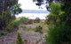 Lake Saint Clair Nature Retreat - thumb 0