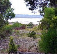 Lake Saint Clair Nature Retreat - Accommodation BNB