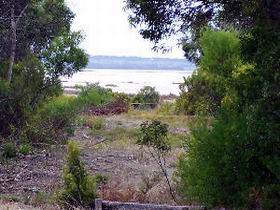 Lake Saint Clair Nature Retreat - Accommodation BNB 0