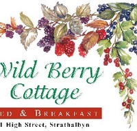 Wild Berry Cottage - Accommodation BNB