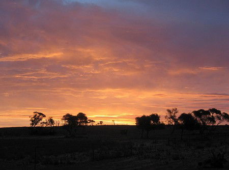 Willangi Bush Escapes - Accommodation BNB 1