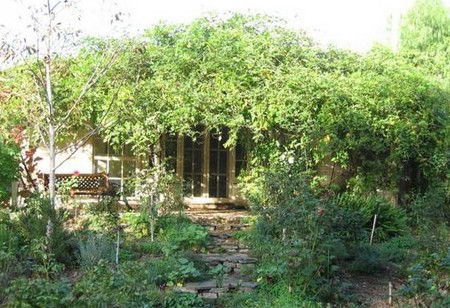 Lemontree Cottage - Accommodation BNB 5