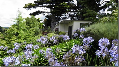 Tamar River Retreat - Accommodation BNB 5