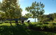 Paringa House B&B Stone Cottages - thumb 8