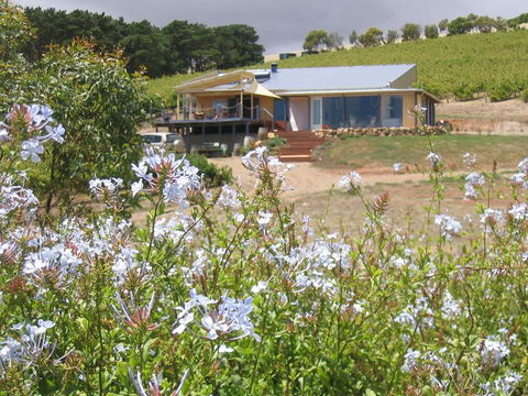 The Blue Grape Vineyard Accommodation - Accommodation BNB 0