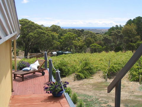 The Blue Grape Vineyard Accommodation - Accommodation BNB 1