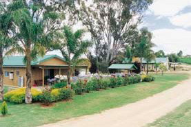 Mundic Grove Cottage - Accommodation BNB 2