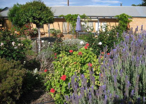 Peechabella Vineyards Bed & Breakfast - Accommodation BNB 3