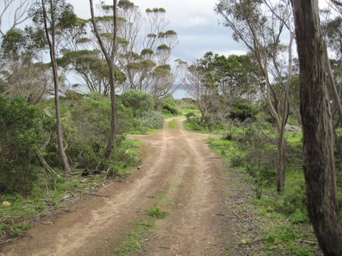 Wallaby Beach House - Accommodation BNB 3