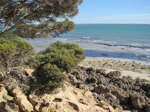 Wallaby Beach House - Accommodation BNB 4
