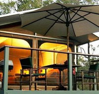 Jabiru Safari Lodge at Mareeba Wetlands - Accommodation BNB