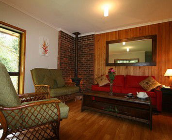 The Canopy Rainforest Tree Houses And Wildlife Sanctuary - Accommodation BNB 1