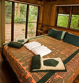 The Canopy Rainforest Tree Houses And Wildlife Sanctuary - Accommodation BNB 2
