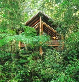 The Canopy Rainforest Tree Houses And Wildlife Sanctuary - Accommodation BNB 5