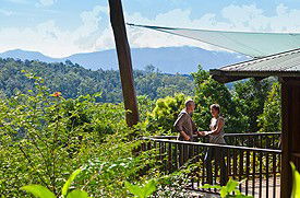 Rose Gums Wilderness Retreat - Accommodation BNB 0