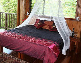 Rose Gums Wilderness Retreat - Accommodation BNB 2