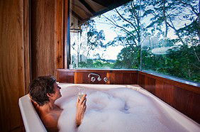 Rose Gums Wilderness Retreat - Accommodation BNB 3