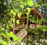 Rivers Edge Rainforest Retreat - Accommodation BNB