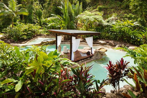 Misty Mountains Tropical Rainforest Romantic Retreat - Accommodation BNB 3