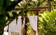 Misty Mountains Tropical Rainforest Romantic Retreat - thumb 4