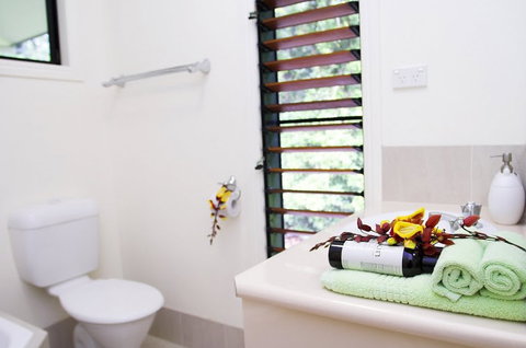 Misty Mountains Tropical Rainforest Romantic Retreat - Accommodation BNB 5
