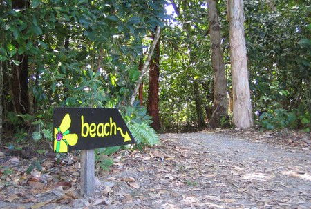 Cape Tribulation Camping - Accommodation BNB 2