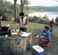 Fortescue Bay Camping Ground - Accommodation BNB