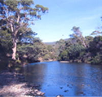 Douglas River Cabin - Accommodation BNB