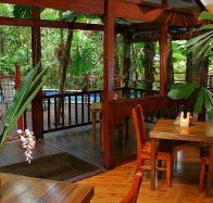 Daintree Wilderness Lodge - Accommodation BNB