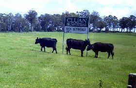 Cluan Homestead - The Managers Residence - Accommodation BNB 0