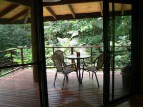 Cape Trib Exotic Fruit Farm Bed And Breakfast - Accommodation BNB 0
