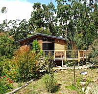 Southern Forest Accommodation - Accommodation BNB