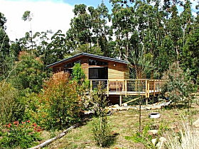 Southern Forest Accommodation - Accommodation BNB 0