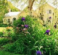Panshanger - Accommodation BNB