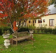 Grandma's House - Accommodation BNB