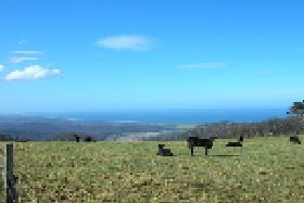 St Marys Seaview Farm - Accommodation BNB 0