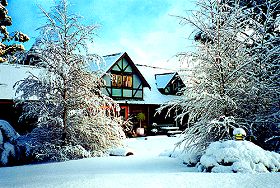 Cradle Chalet Boutique Luxury Lodge - Accommodation BNB 0