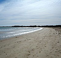 Greens Beach Caravan Park - Accommodation BNB