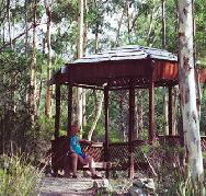 Telopea - Accommodation BNB