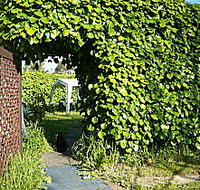 Kirra Guest House - Accommodation BNB