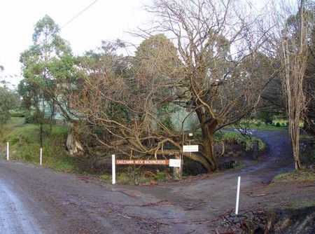 Eaglehawk Neck Backpackers - Accommodation BNB 1