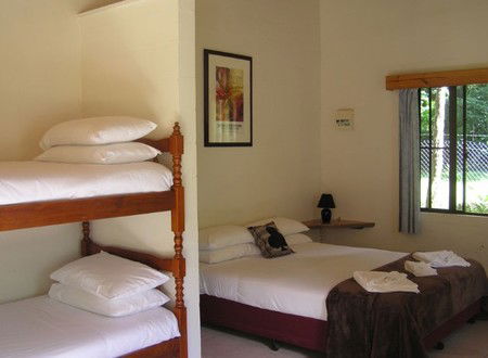 Lync-Haven Rainforest Retreat - Accommodation BNB 1
